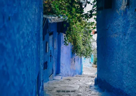 Debiteurenbeheer verbeteren