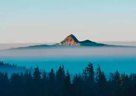 Betalingstermijn grootbedrijf